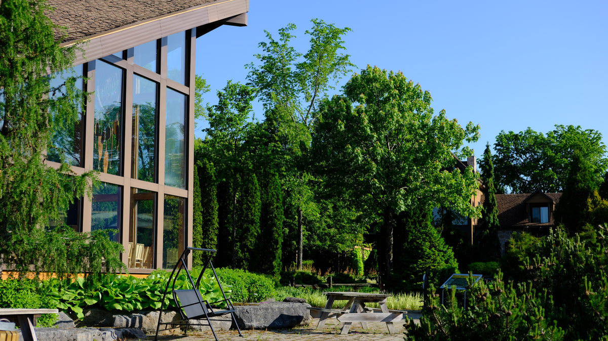 Jardin Botanique – Jardin Scullion
