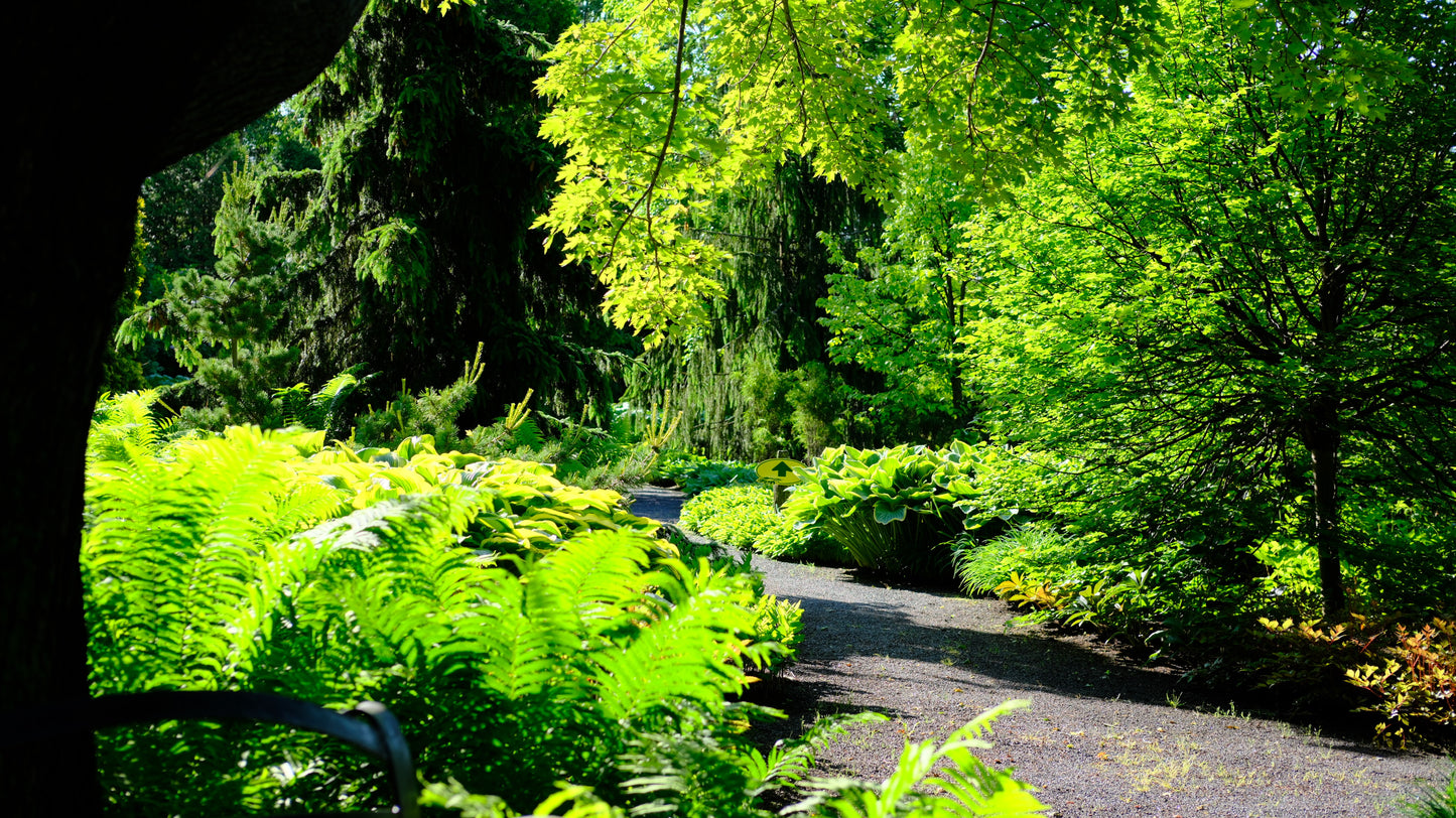 Jardin Scullion