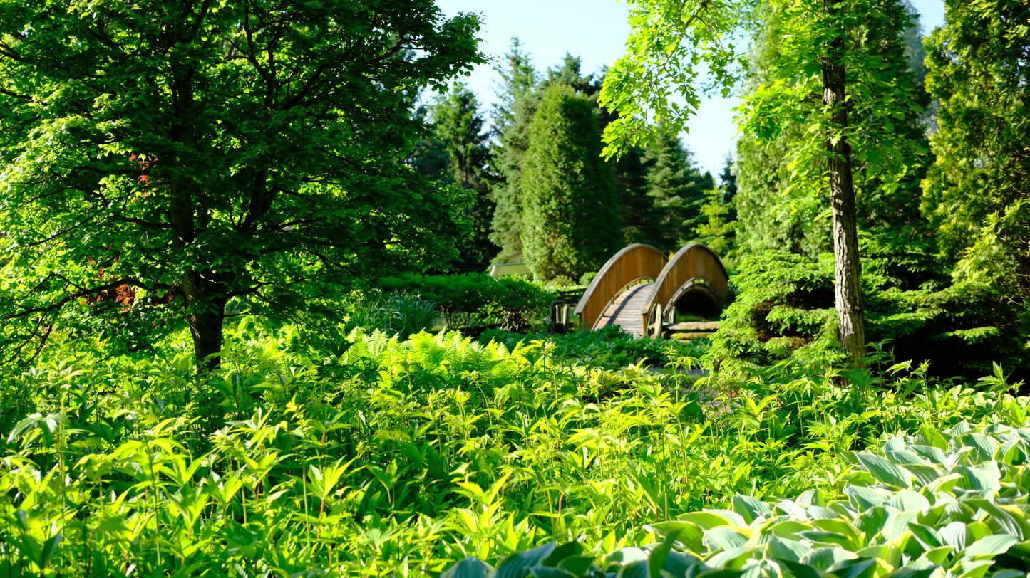 Jardin Scullion