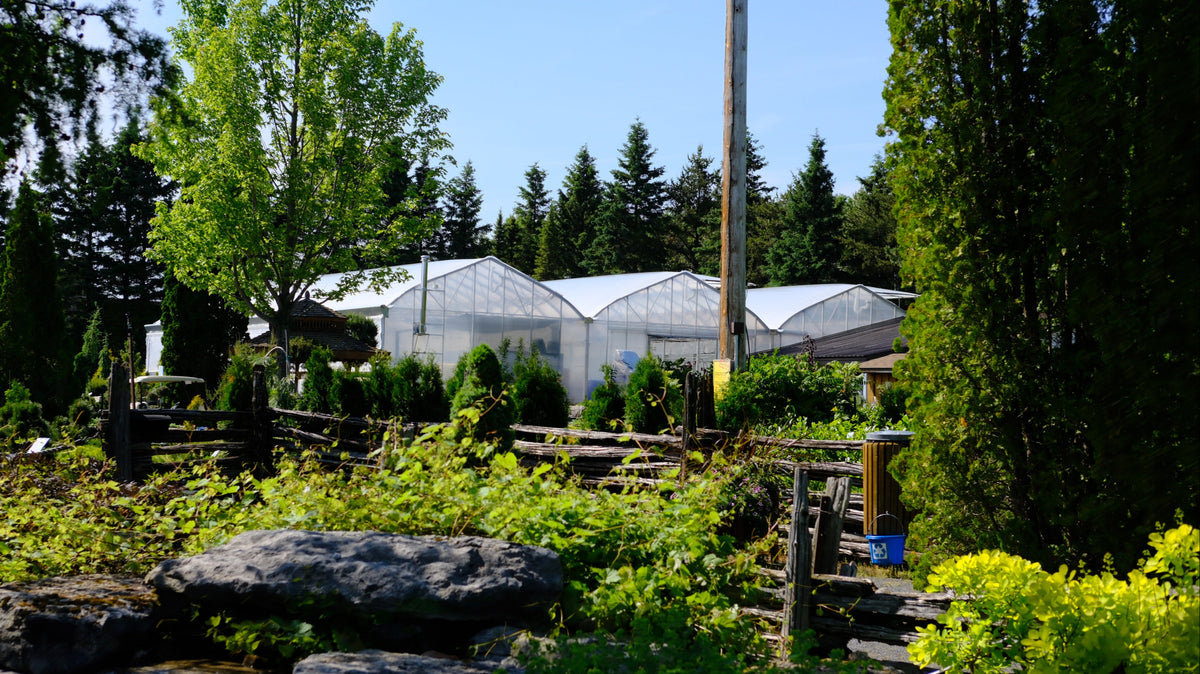 La Pépinière – Jardin Scullion